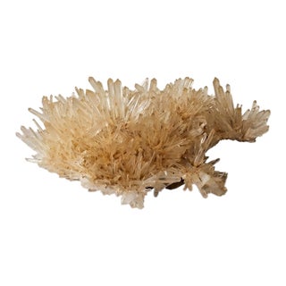 Golden Healer Quartz Specimen by Stillmantle For Sale