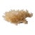 Golden Healer Quartz Specimen by Stillmantle For Sale