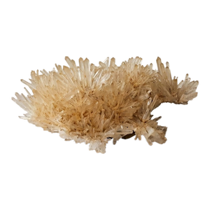 Golden Healer Quartz Specimen by Stillmantle