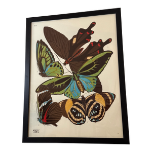 Vintage Insects Giclee Print After Emile-Allain Seguy ~Framed