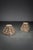 Architectural Column Bases, 1850s, Set of 2 For Sale - Image 13 of 14