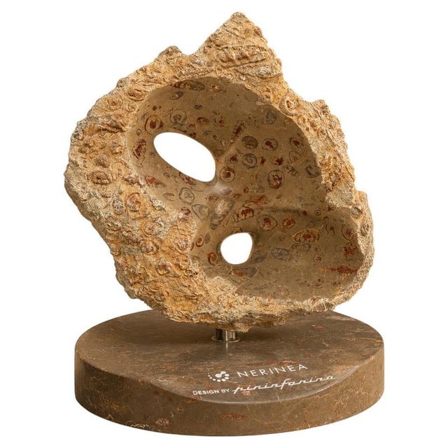 Not Yet Made - Made To Order Axis Rock in Jurassic Fossil Stone by Nerinea For Sale - Image 5 of 5