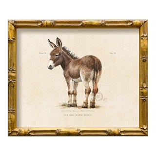 Contemporary Reproduction of Vintage Framed Donkey Giclee Print For Sale