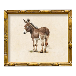 Contemporary Reproduction of Vintage Framed Donkey Giclee Print