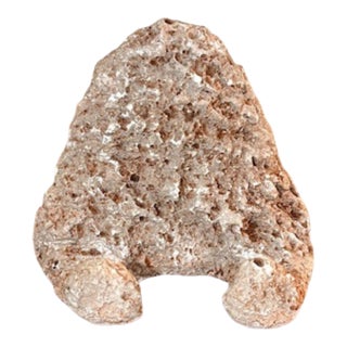 Geodized Fossil Stone Business Card Holder – Natural Rock Desk Accessory For Sale