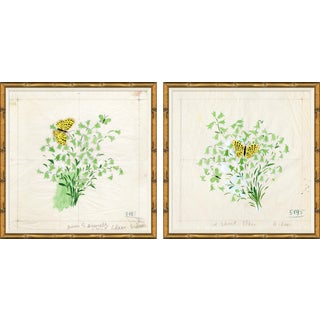 Clochettes et Papillon Art Print Set in Bamboo Frame by Paule Marrot For Sale