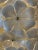 Modern Pair of Large Scale Modern Murano Flower Sconces For Sale - Image 3 of 8