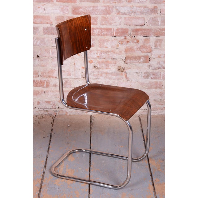 Paint Bauhaus Chairs in Beech and Chrome-Plated Steel, Czech, 1930s, Set of 4 For Sale - Image 7 of 14