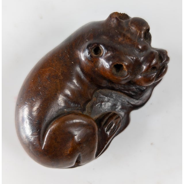 19th Century Carved Bulldog Form Snuff or Scent Box For Sale - Image 9 of 11