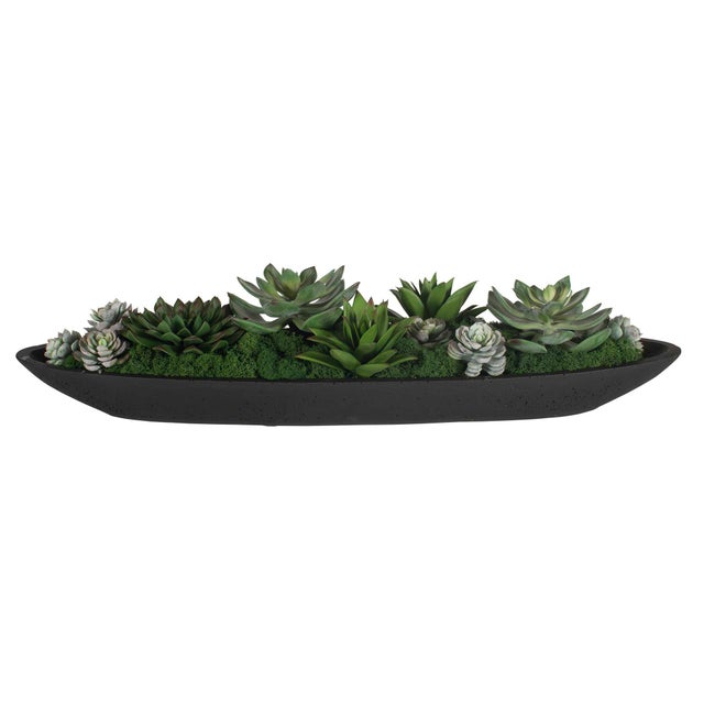 Verde Succulent Centerpiece In Bowl For Sale In Chicago - Image 6 of 8