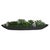 Verde Succulent Centerpiece In Bowl For Sale In Chicago - Image 6 of 8
