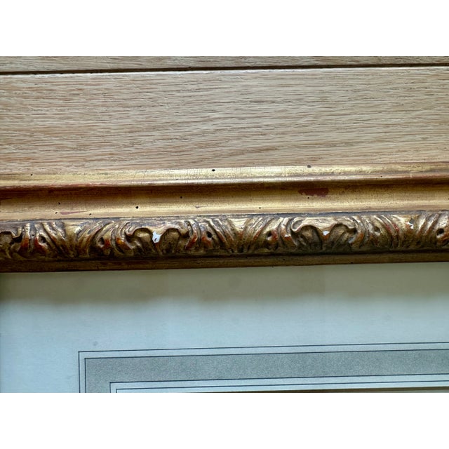 White Dennis & Leen Botanical Print With Gilded Frame – DL-Art 42 For Sale - Image 8 of 14