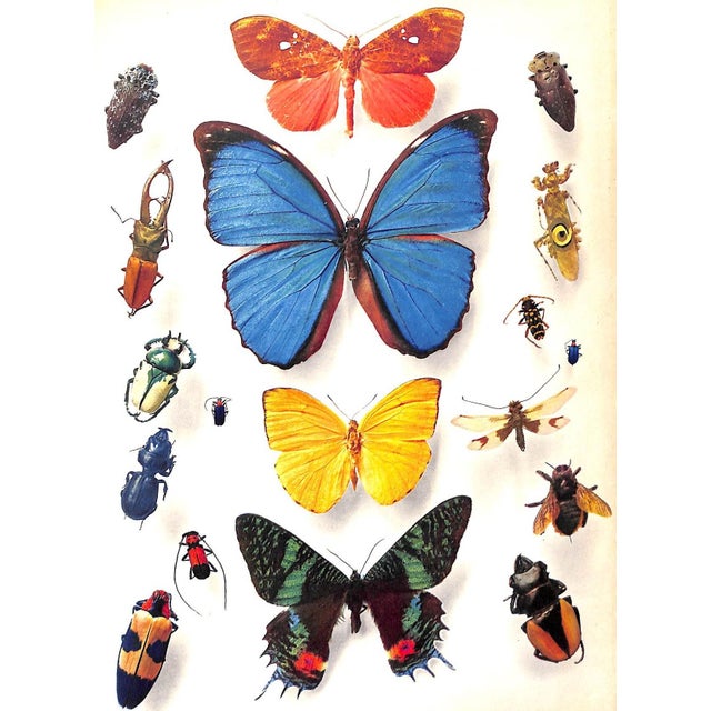 "Publicite 1938" Peignot, Charles & Lejard, Andre, Et Al. For Sale - Image 12 of 12