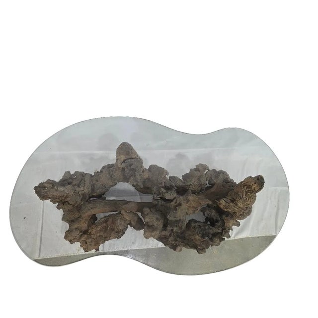 Vintage Root Coffee Table With Glass Top For Sale - Image 4 of 5