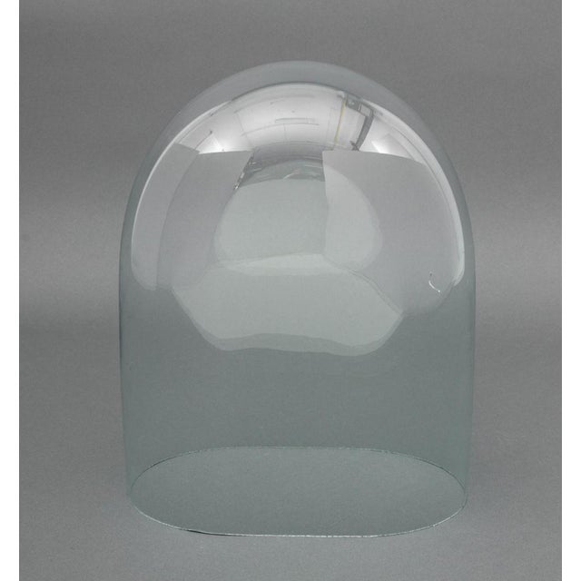 Victorian Victorian Glass Display Domes, 2 For Sale - Image 3 of 9