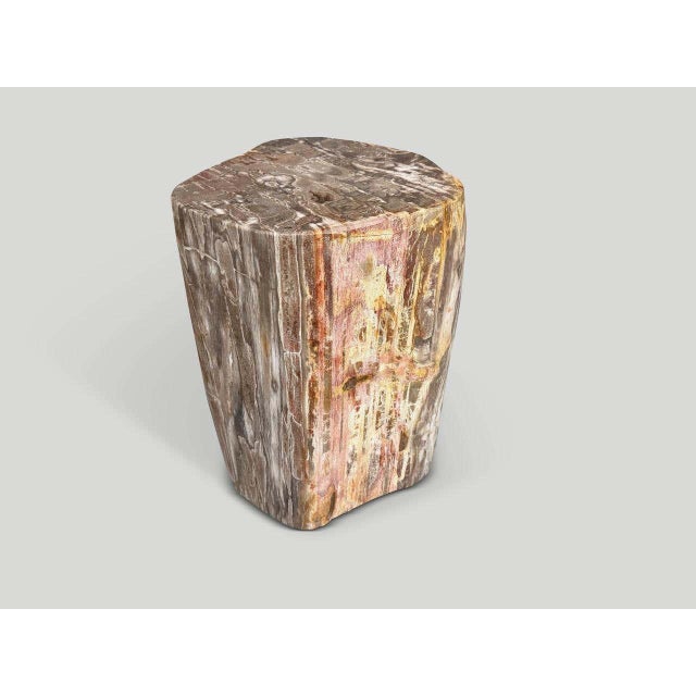 Contemporary Andrianna Shamaris Coral Toned High Quality Petrified Wood Side Table For Sale - Image 3 of 5
