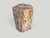 Contemporary Andrianna Shamaris Coral Toned High Quality Petrified Wood Side Table For Sale - Image 3 of 5