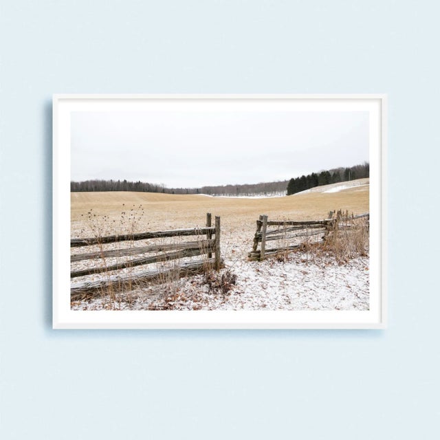 Ecru 'Quebec Farmland' Contemporary Winter Landscape Photography Print, 45 X 30" Canada Photograph For Sale - Image 8 of 8