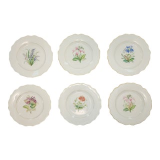 Antique Worcester Royal Porcelain Works Botanical Dessert Plates Set of 6 For Sale