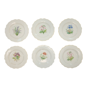 Antique Worcester Royal Porcelain Works Botanical Dessert Plates Set of 6