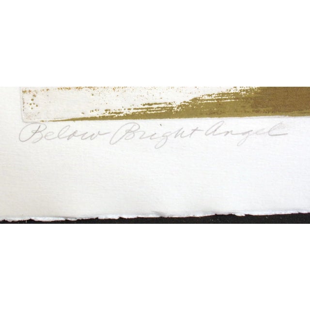 1980s Paula Crane "Below Bright Angel" Signed & Numbered Art Etching of Canyons For Sale - Image 5 of 6