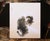 "Cat", Heisei Era Japanese Silk Painting For Sale - Image 13 of 15