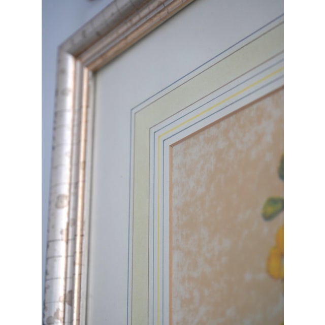 1980s Chelsea House Pair of Flower & Bird Engraving Prints For Sale - Image 9 of 13