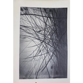 Gianni Saccomandi, Variations In the Ether, 1974, Lithograph For Sale