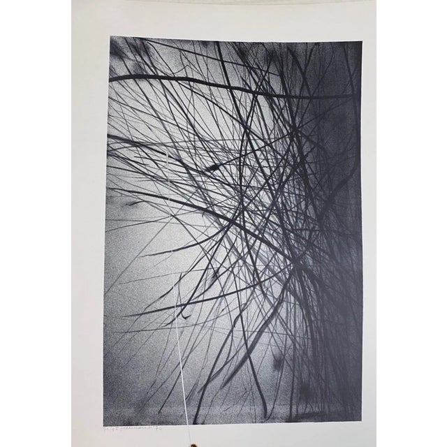 Gianni Saccomandi, Variations In the Ether, 1974, Lithograph For Sale