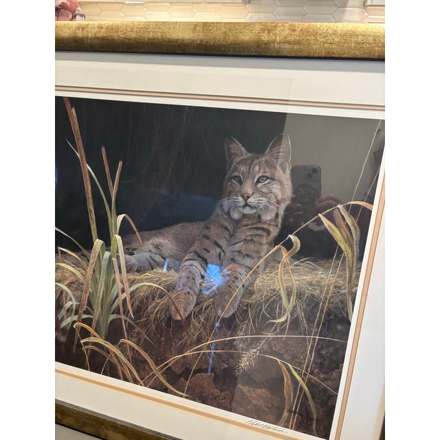 Robert Bateman Signed Bobcat Limited Edition Print, 614/950, Framed For Sale In Philadelphia - Image 6 of 6