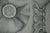 Gochka Charewicz Flowering Original lithograph Signed in pencil Limited edition of 29 copies (the number shown is an...