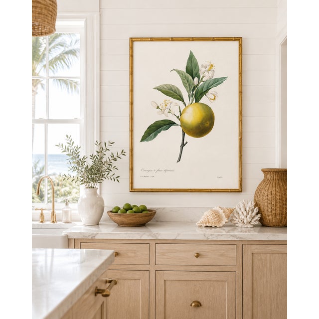 Yellow Orange by Redouté, Vintage Botanical Art Print, 16" X 20" For Sale - Image 8 of 9