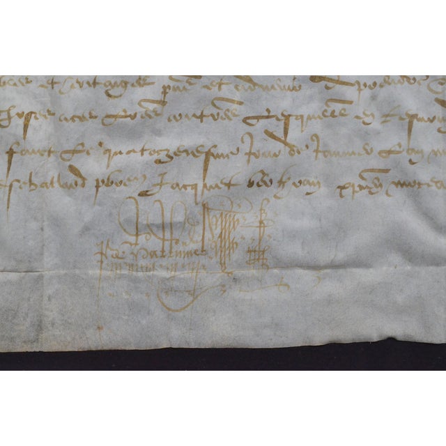 1534 French Renaissance Manuscript Legal Deed on Parchment, Seigneur De Petiteville For Sale - Image 4 of 11