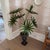 Fabulous Hollywood regency tole metal palm tree in urn planter. Substantial weight and great shade of green. The stem is...