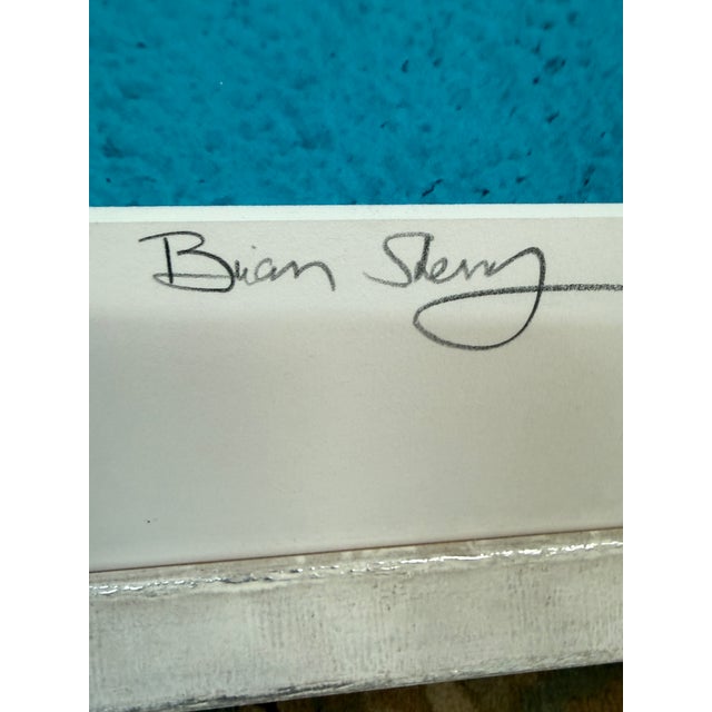 Photorealism Brian Skerry First Encounter Southern Right Whale Photograph, Signed For Sale - Image 3 of 12