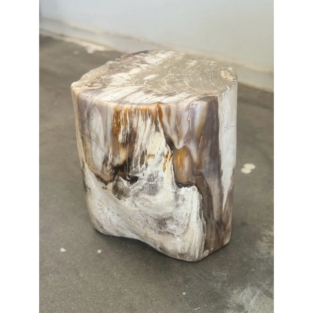 Contemporary Petrified Stool - Single For Sale - Image 3 of 17