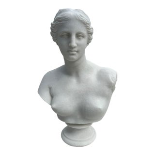 Hand-Carved Natural Marble Bust Sculpture – Bust of Venus De Milo For Sale