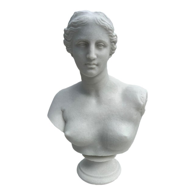 Hand-Carved Natural Marble Bust Sculpture – Bust of Venus De Milo For Sale