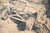 Erich Hochschild, War in Belgium, 1940, Charcoal Drawing on Tinted Paper For Sale - Image 7 of 10