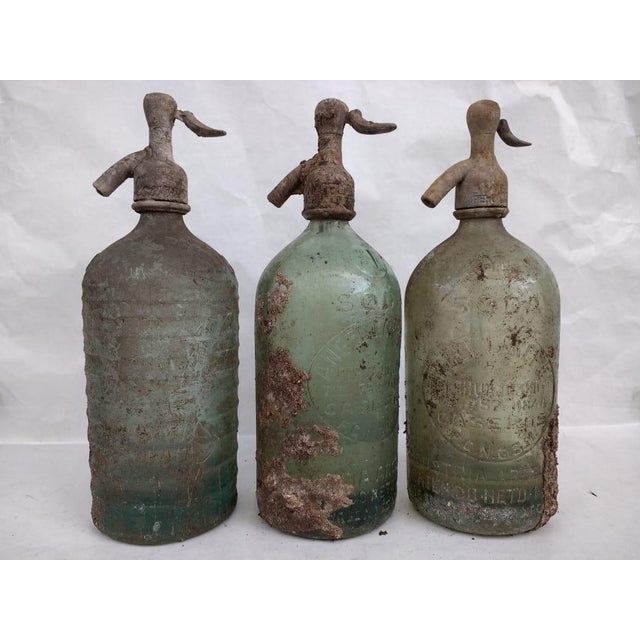 Vintage San Bernardo Argentina Seltzer Bottles Set of 5 Chairish