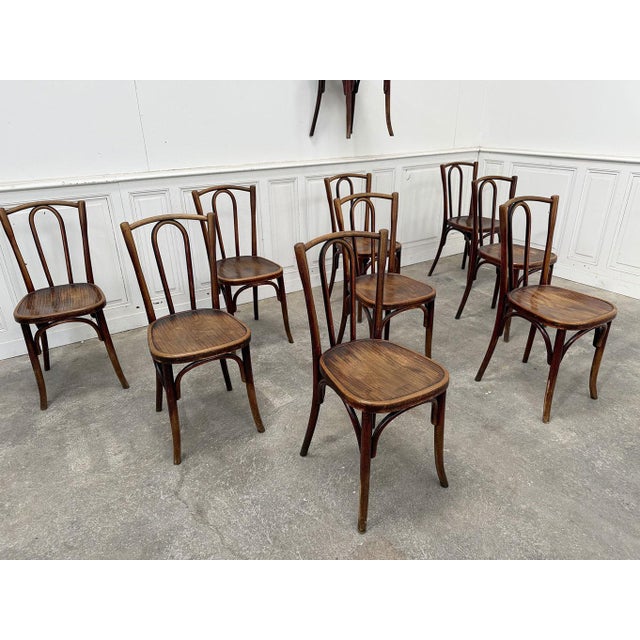 Bistro Chairs from Fischel, 1930s, Set of 10 For Sale - Image 4 of 8