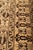 1910s Antique Agra Geometric Beige Brown Wool Rug 12681 For Sale - Image 5 of 5