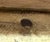 Early 18th Century Primitive Painting For Sale - Image 4 of 4