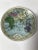This is a set of two diminutive porcelain plates of the Western and Eastern Hemispheres. They are very subtlety colorful...