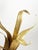 Gilt Metal Wall Light, France, 1970s For Sale - Image 11 of 15