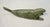 Antique Signed Carved Green Soapstone Canadian Seal Eskimo Sculpture Inuit For Sale In New York - Image 6 of 11