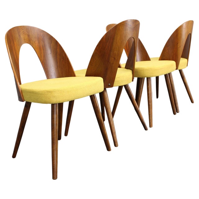 Vintage Dining Chairs in Walnut by Antonin Suman, 1960s, Set of 4 For Sale