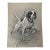 1940s Original Signed Graphite Illustration of Pointer Hunting Dog, 11.75 × 9 In. For Sale