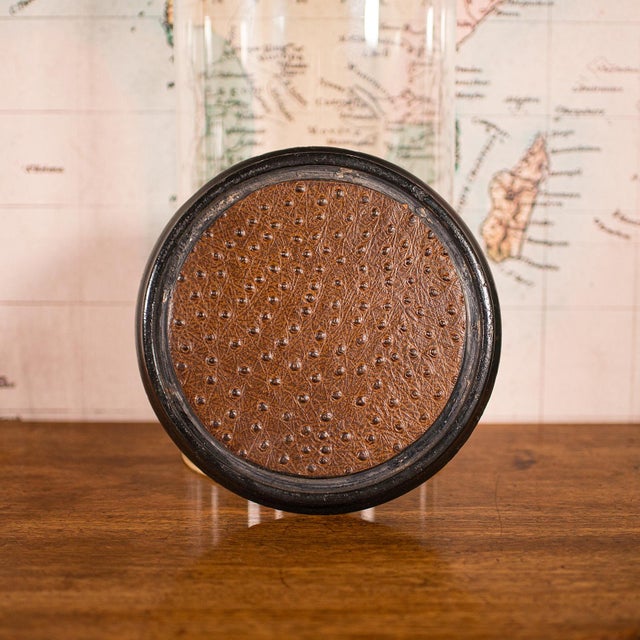 1870's Large Antique Collector's Dome For Sale - Image 6 of 9