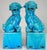 Early 20th Century Turquoise Blue Glaze Foo Dogs- a Pair For Sale - Image 4 of 12